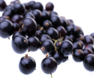 Black Currants